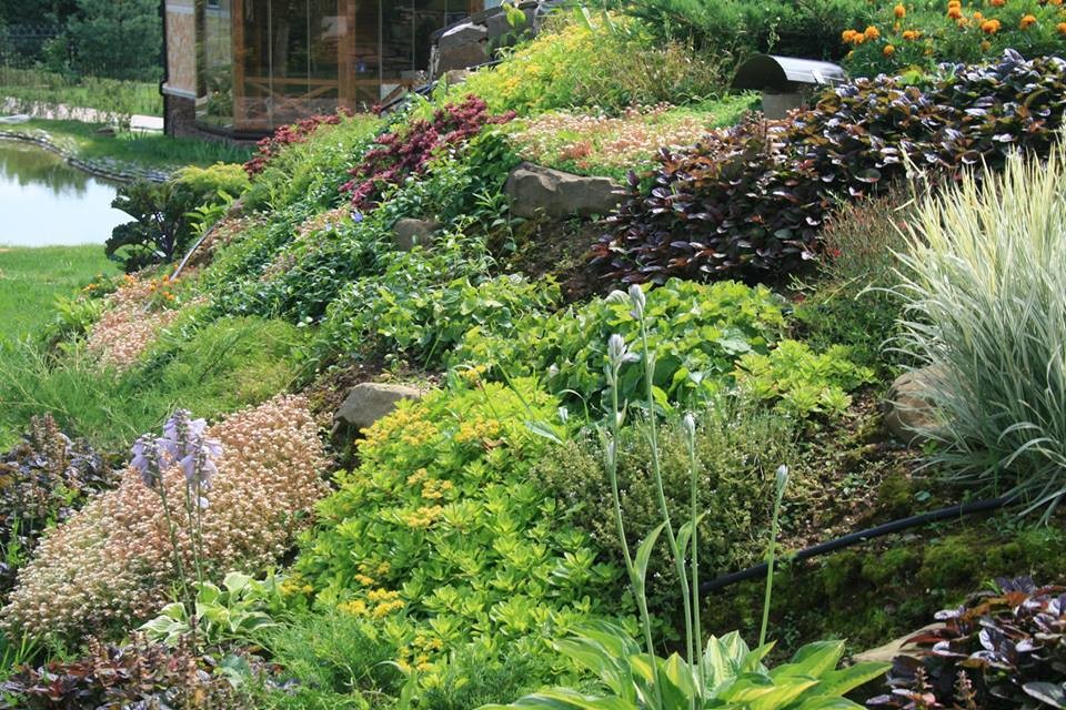 Ландшафтный дизайн