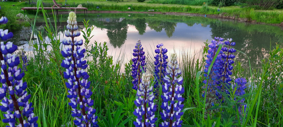 Пермакультурная личная усадьба.