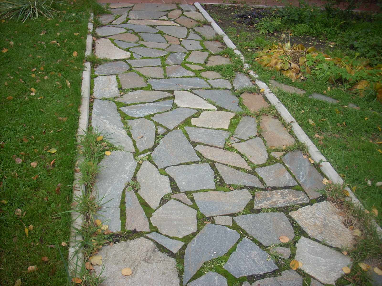 Правдино Ландшафт