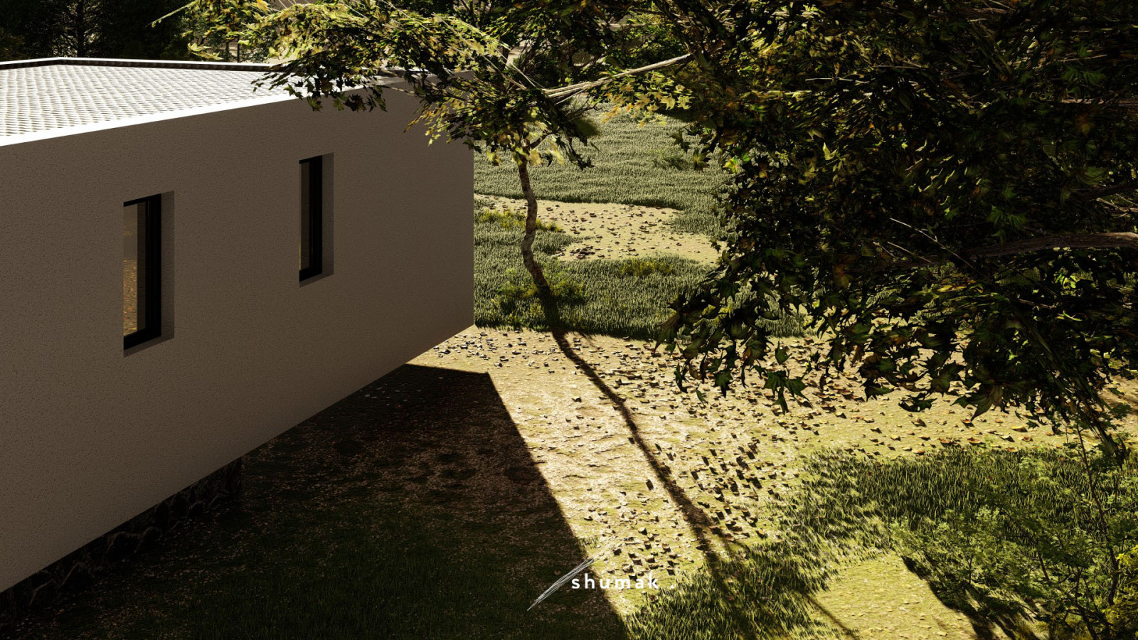 Бесконечные леса на участке и один дом.