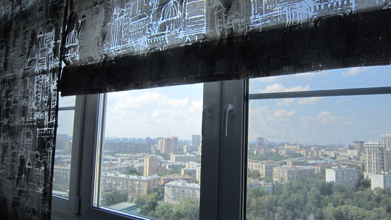 Вера Владимировна Дэллари