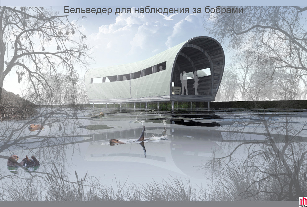 Обложка проекта: Бельведер для наблюдения за бобрами