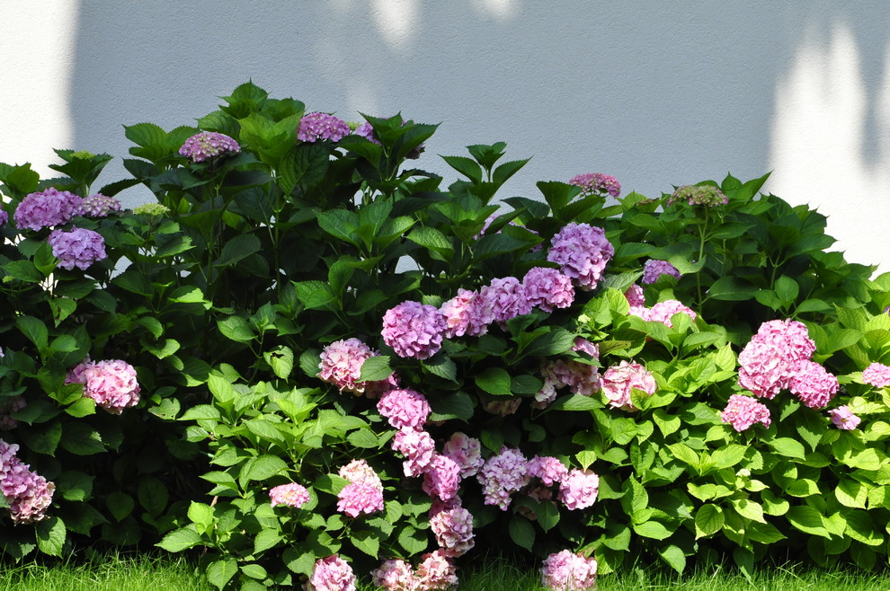 кп "Успенские дачи" - Уход за садом - 100% качество!