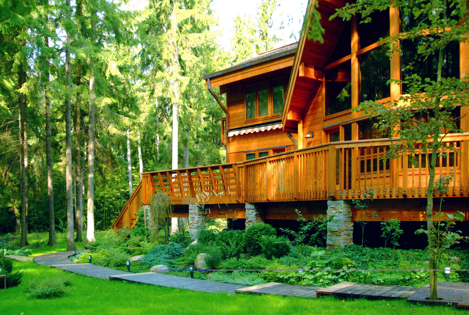 Обложка альбома: сад на лесном участке