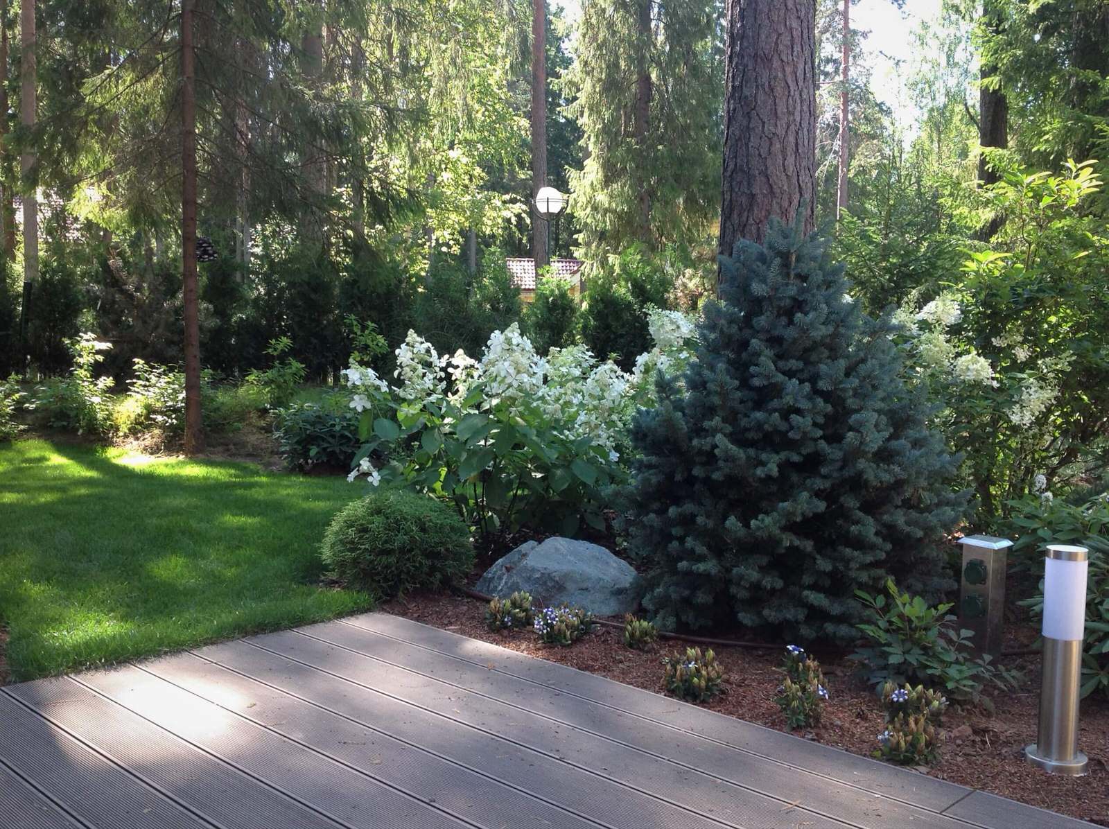 ШЕРВУДСКИЙ ЛЕС