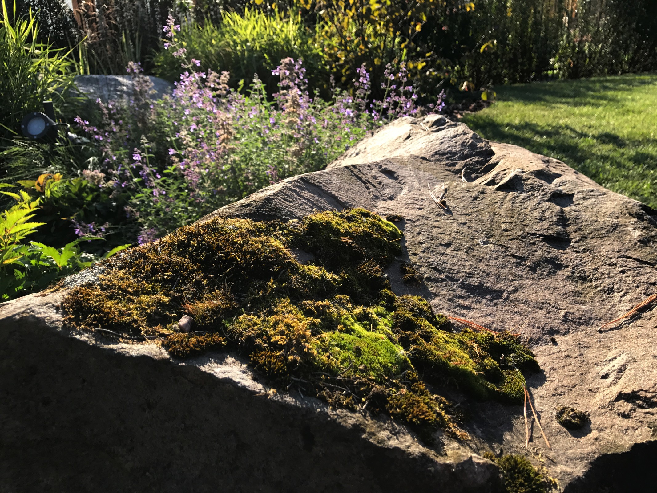 КП Завидово, 0.25 га