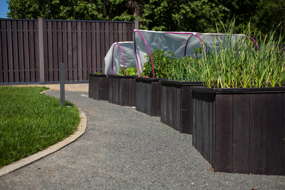 Обложка проекта: "Дарна"