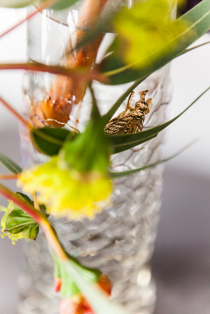 Скромное обаяние буржуа \\ гостиная-кухня