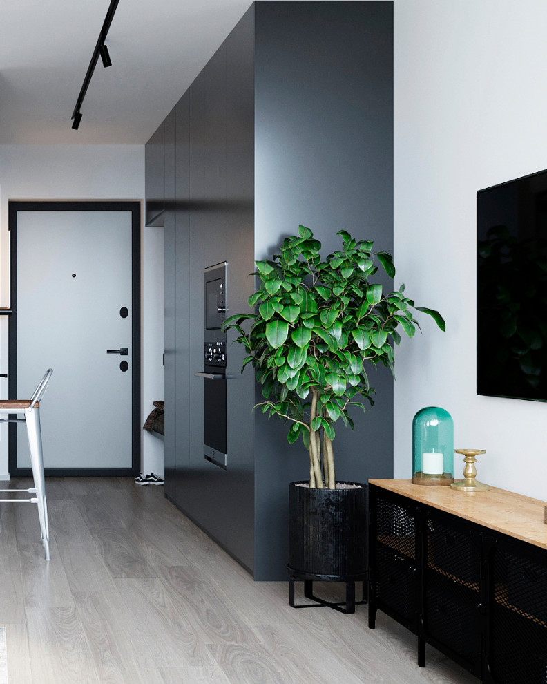 Студия 23м2 (Лофт)