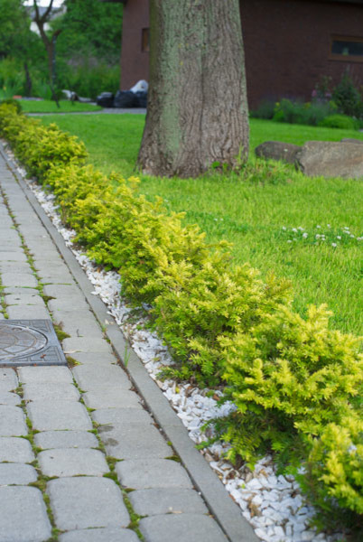 Проект недели: «Сад парфюмера» под Калининградом