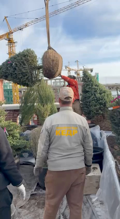 Обложка проекта: Крыша отеля