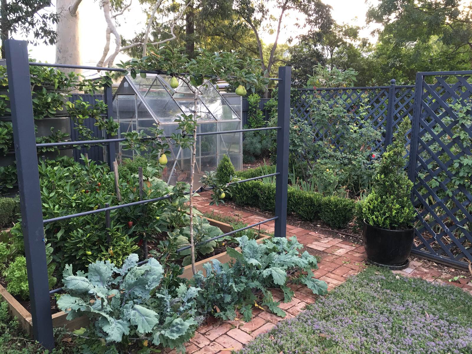 Как правильно: Сделать огородные опоры украшением участка