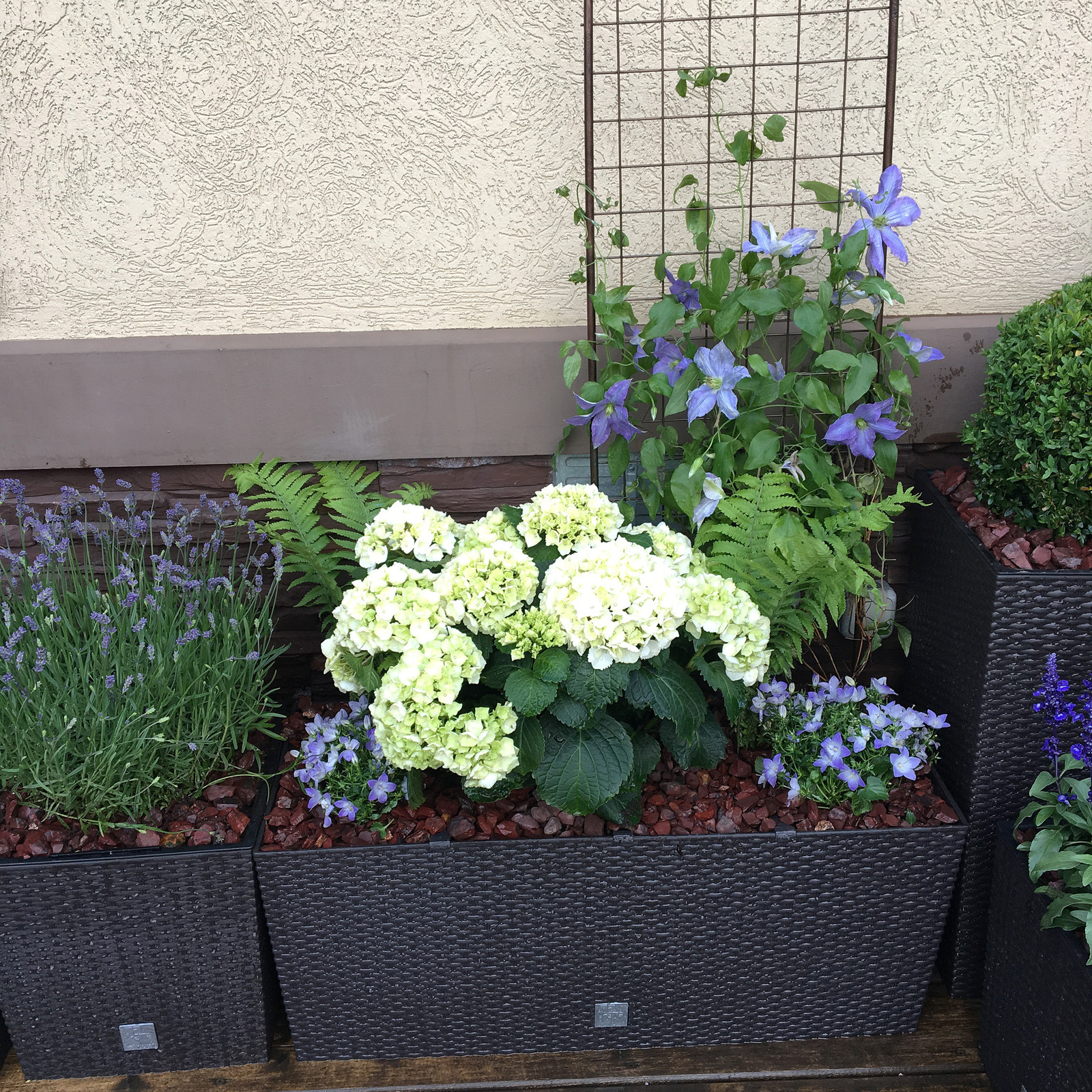 Летний сад на террасе