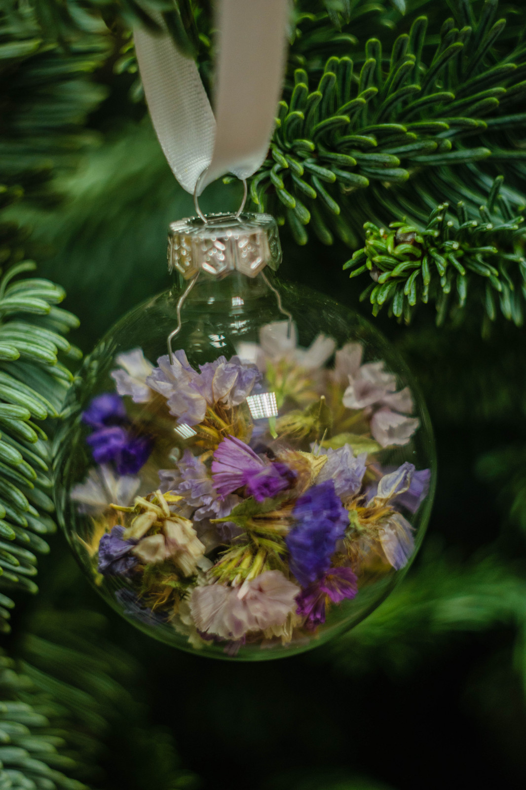 Стеклянный шар с сухоцветами