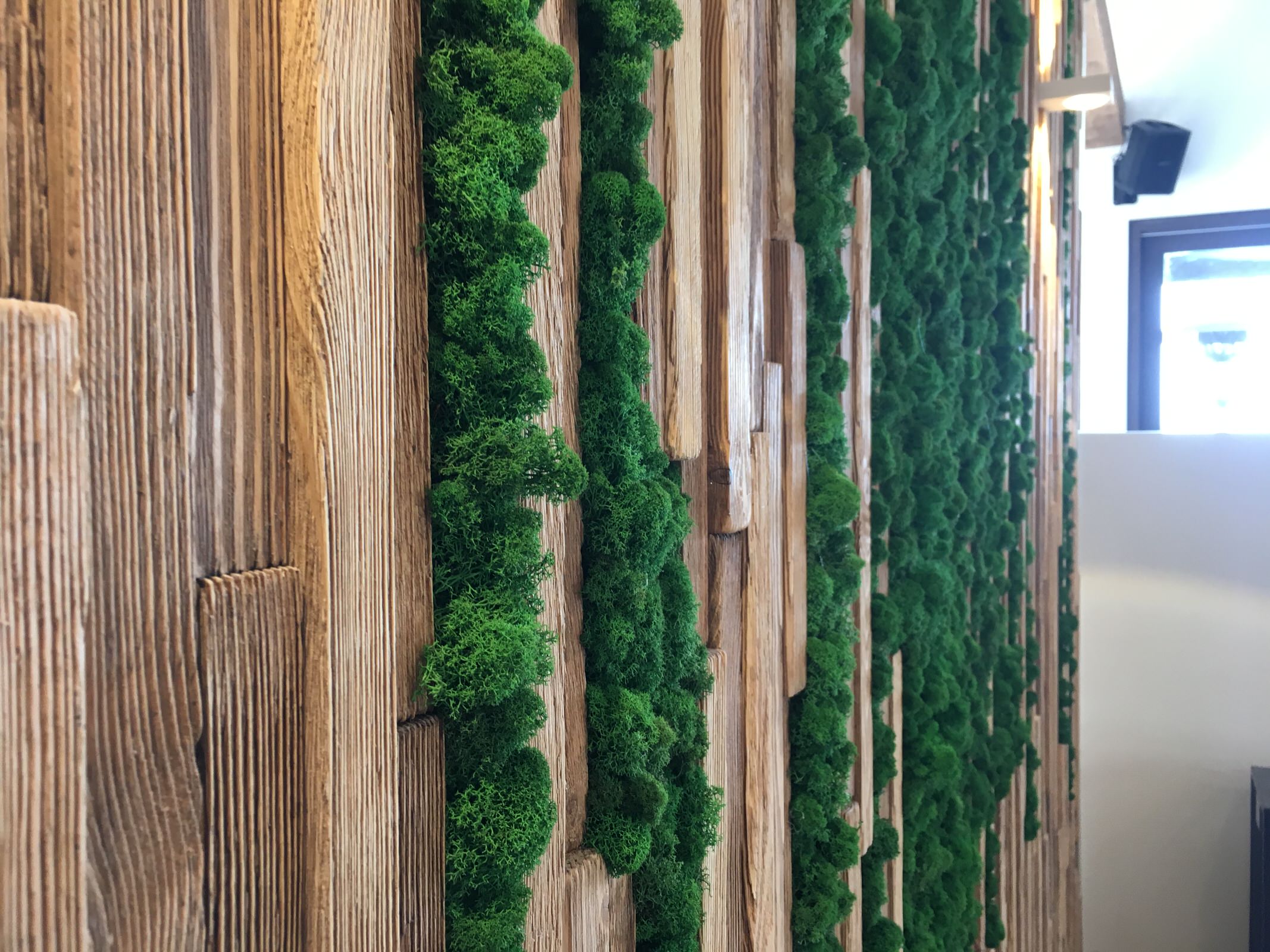 Обложка проекта: Озеленение мхом Ягелем частного дома