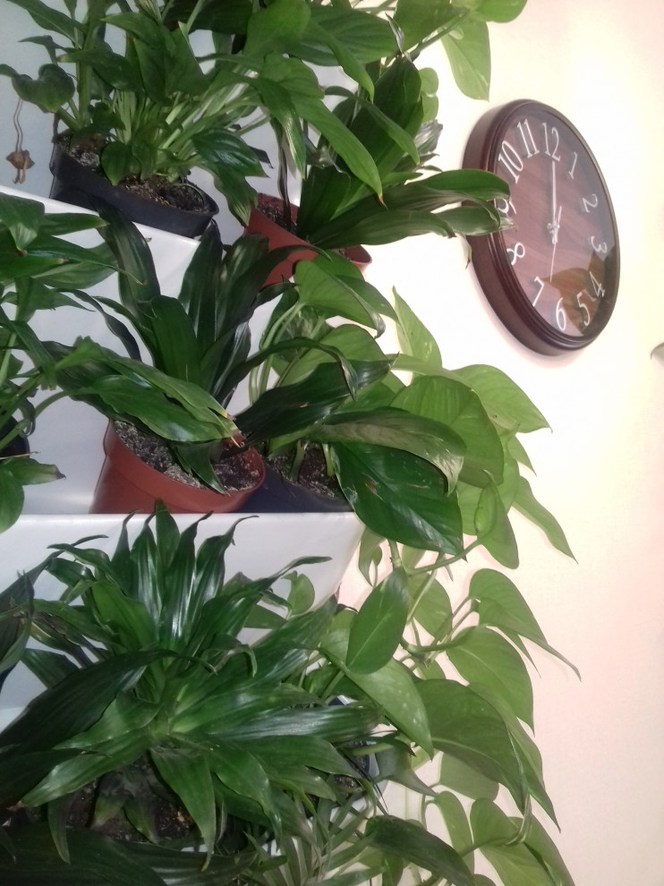 Квартира с зелеными акцентами