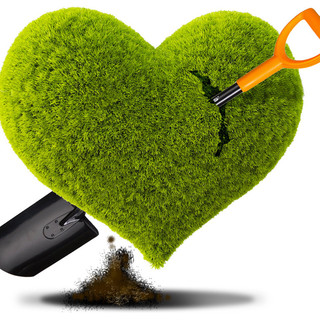 landscaping-projects.com