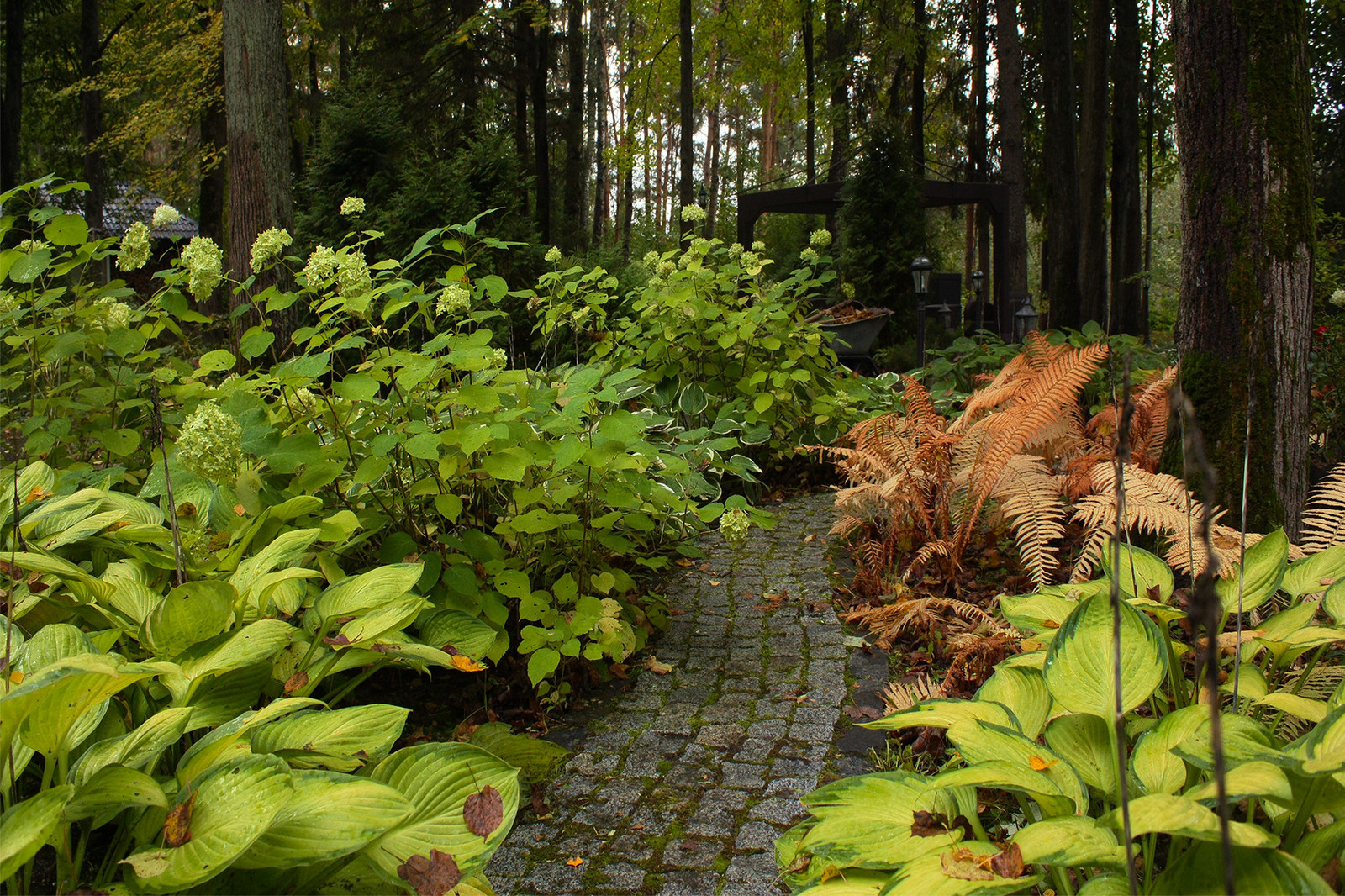 Ландшафтный дизайн лесного участка - садовая дорожка их гранитной брусчатки.