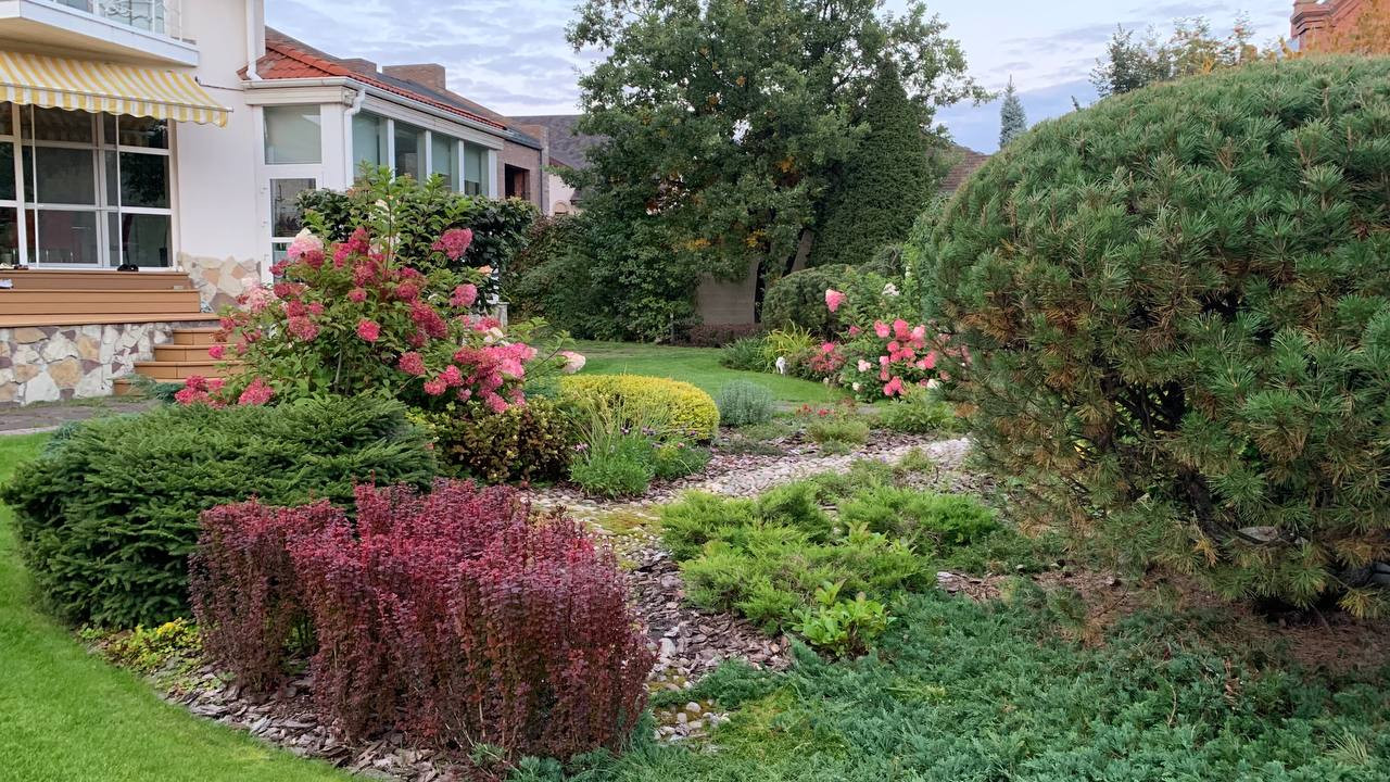 Реализованные проекты