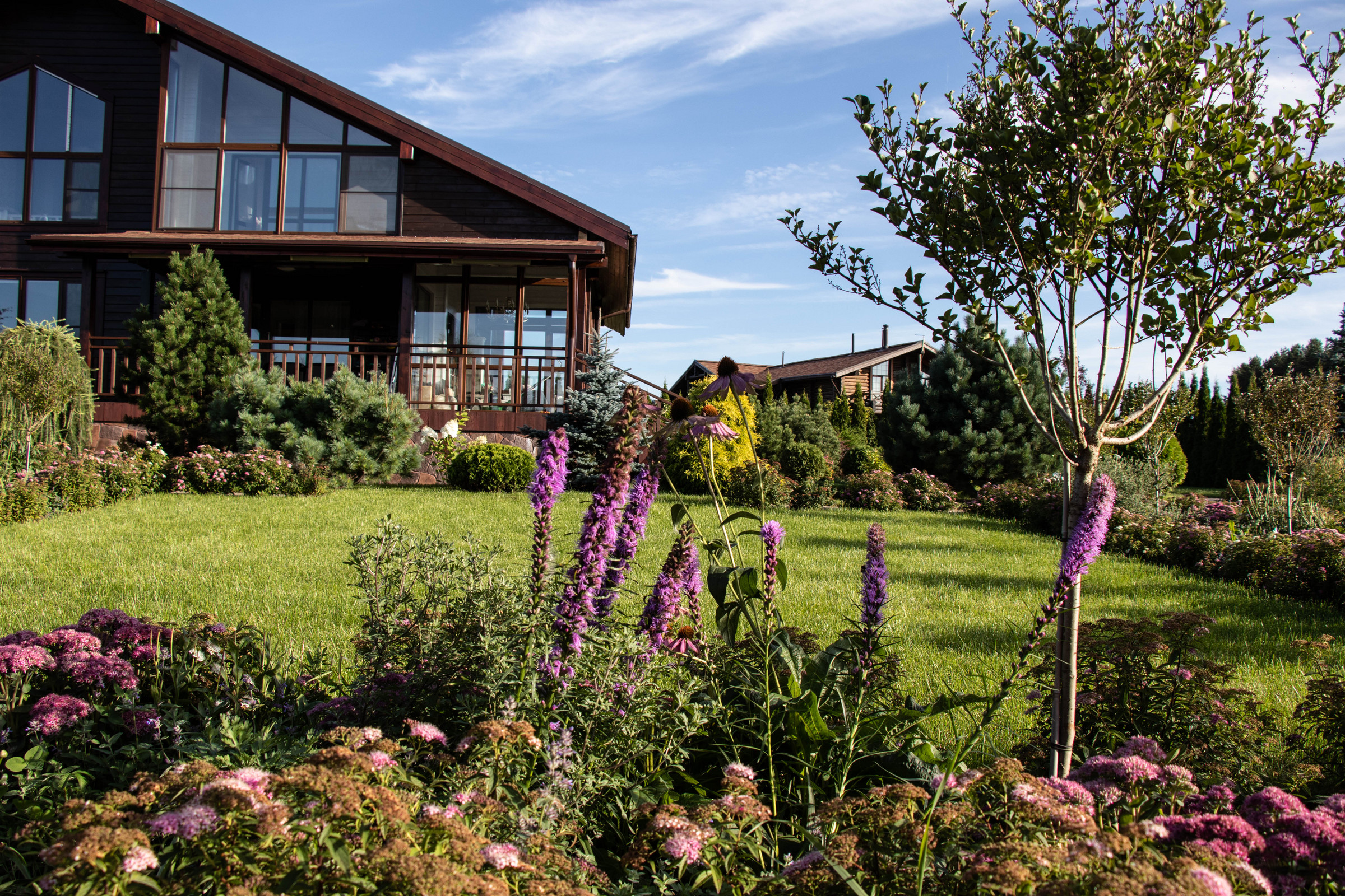 Сосновые берега