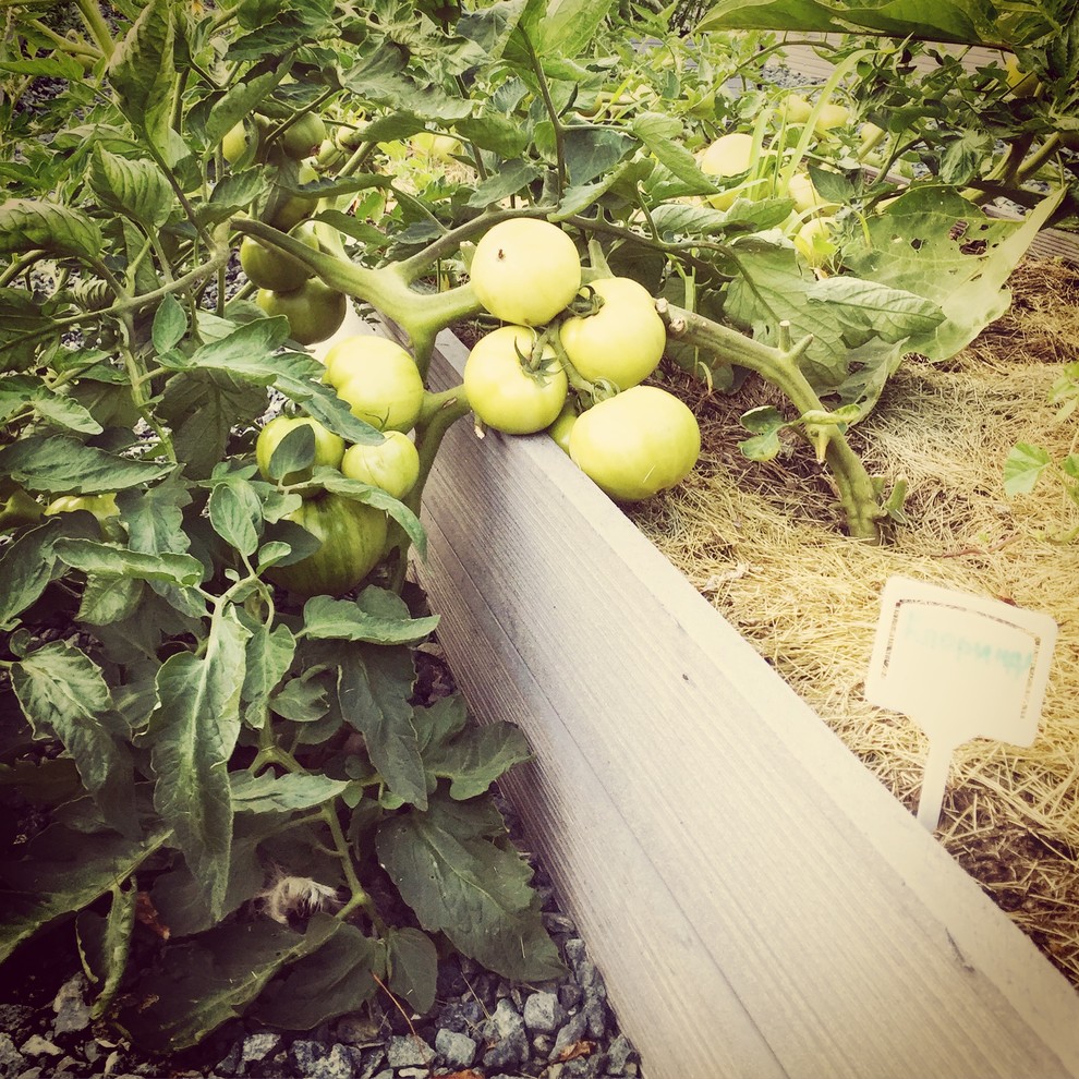 частный дом