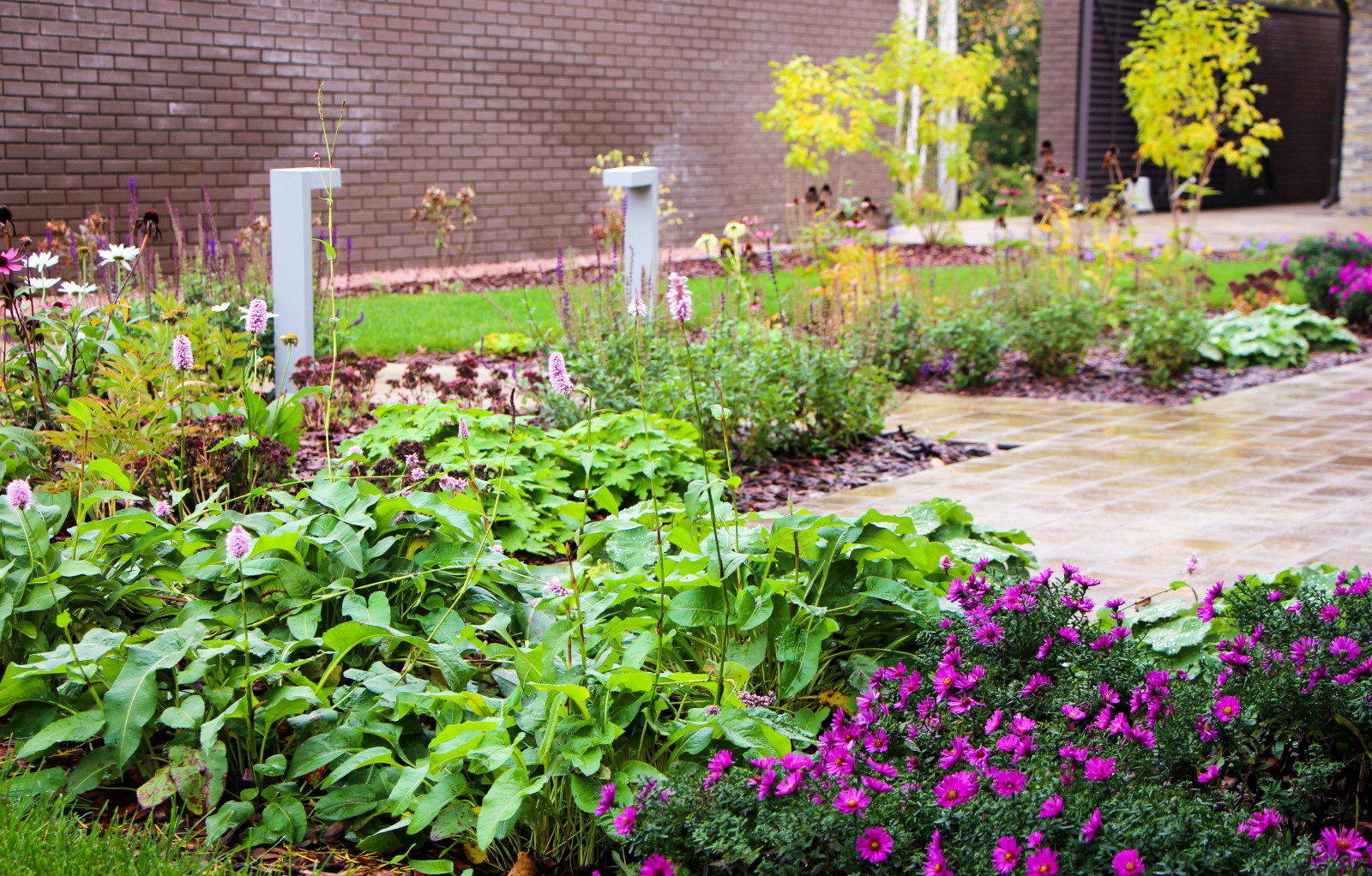 Петровское, 2018-2020 гг.