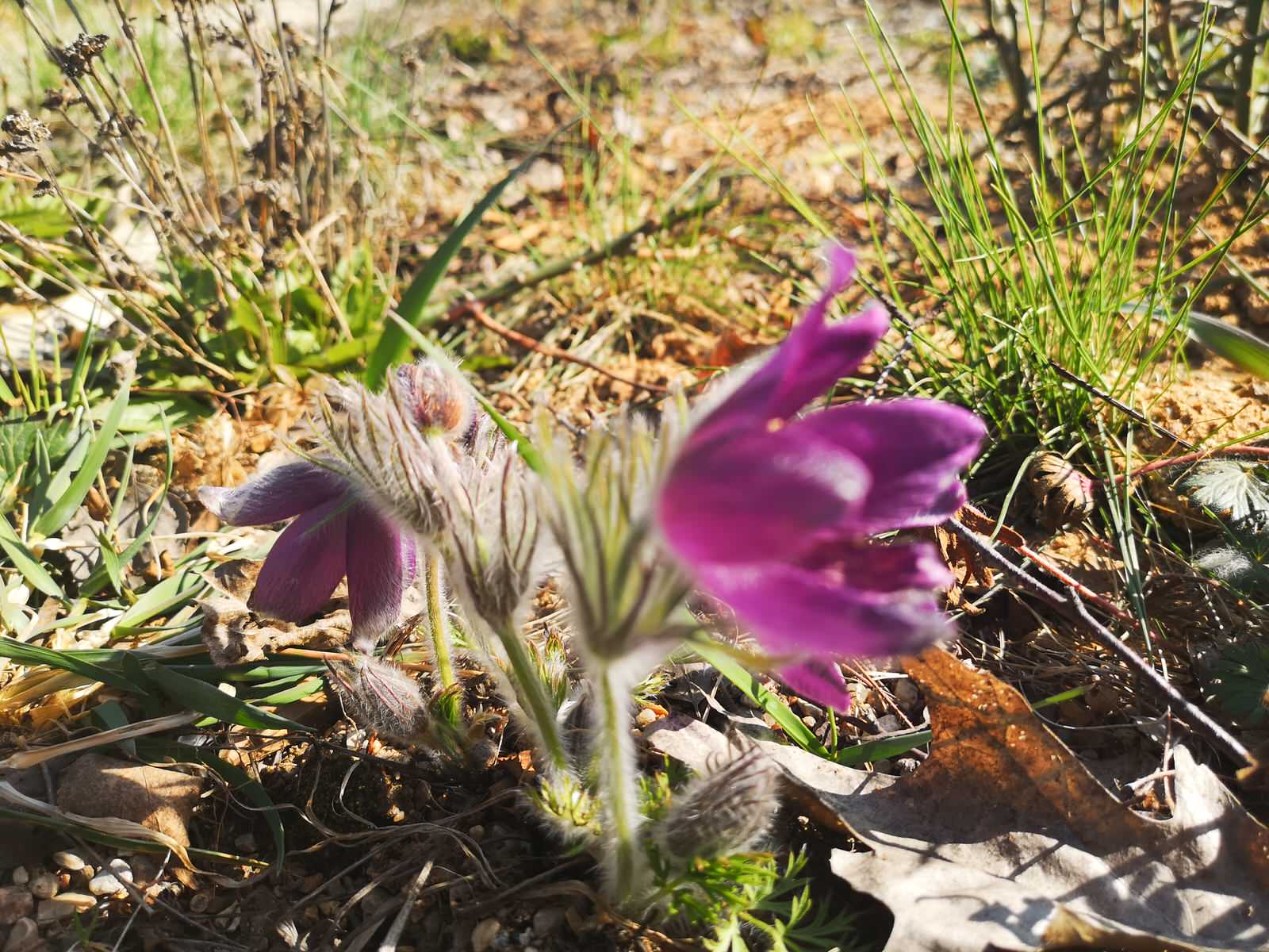 Обложка проекта: Участок 10 га на склоне с лугом и лесом