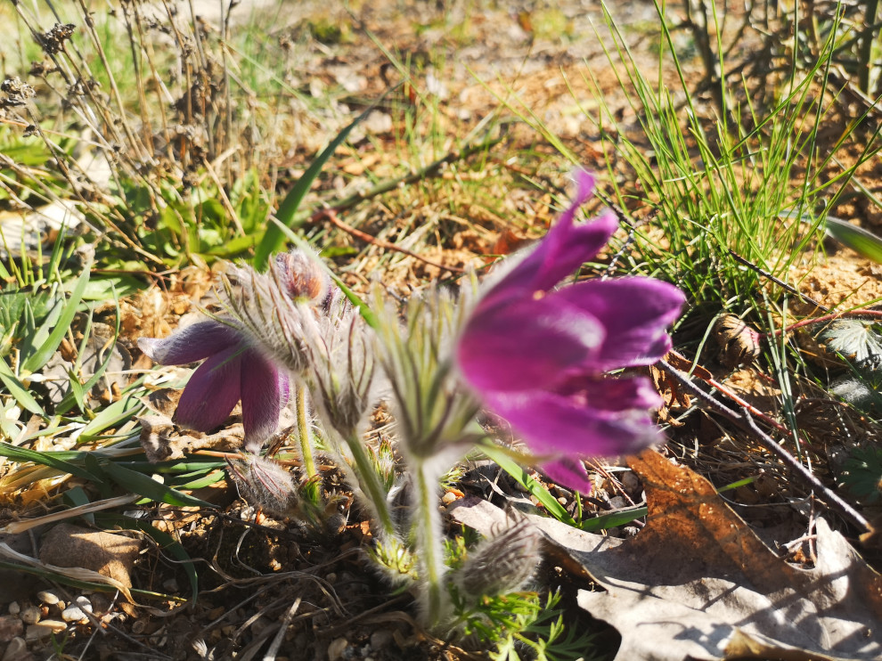 Обложка проекта: Участок 10 га на склоне с лугом и лесом