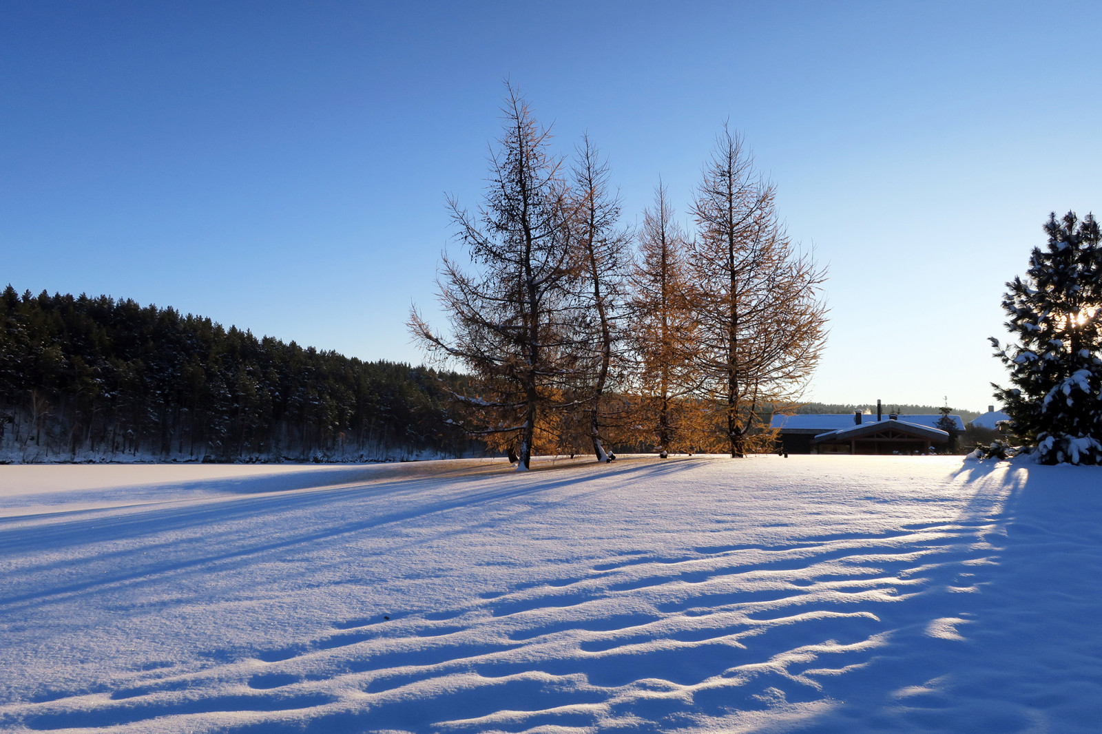 Новый пейзаж