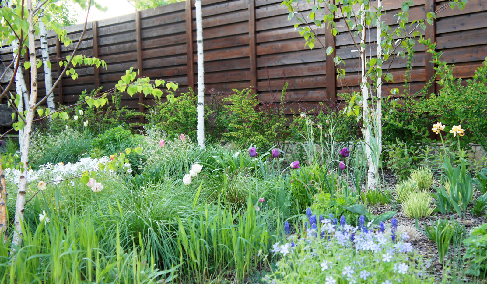 Зачем вам: Миксбордер с растениями в человеческий рост