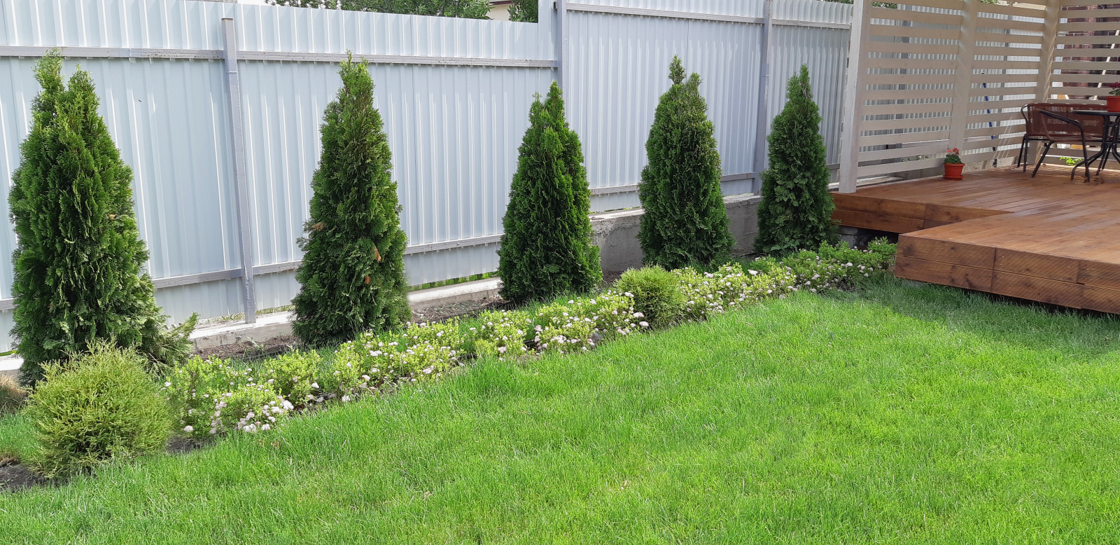 Обложка проекта: Озеленение "Под Ключ" в с.Борисовка