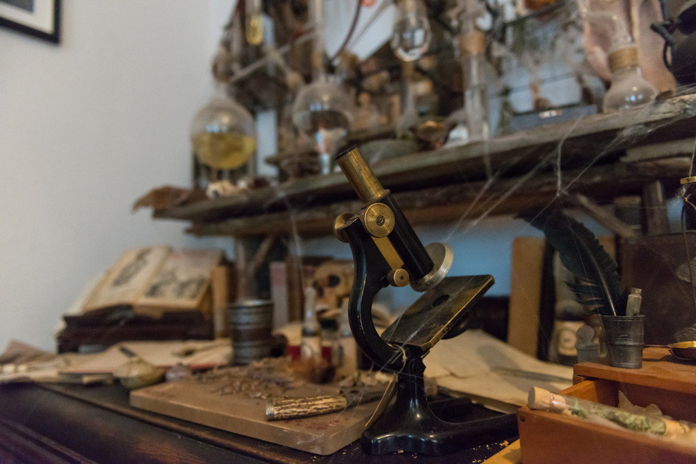 Houzz Германия: Шоу ужасов в одной готической квартире перед Хеллоуином