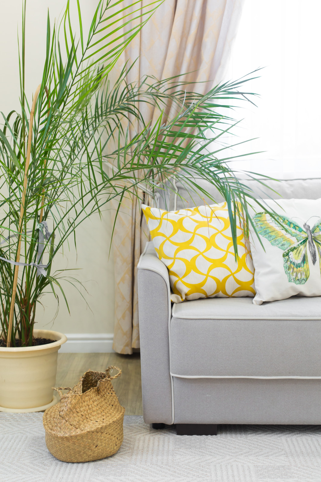 Наталья Савельева