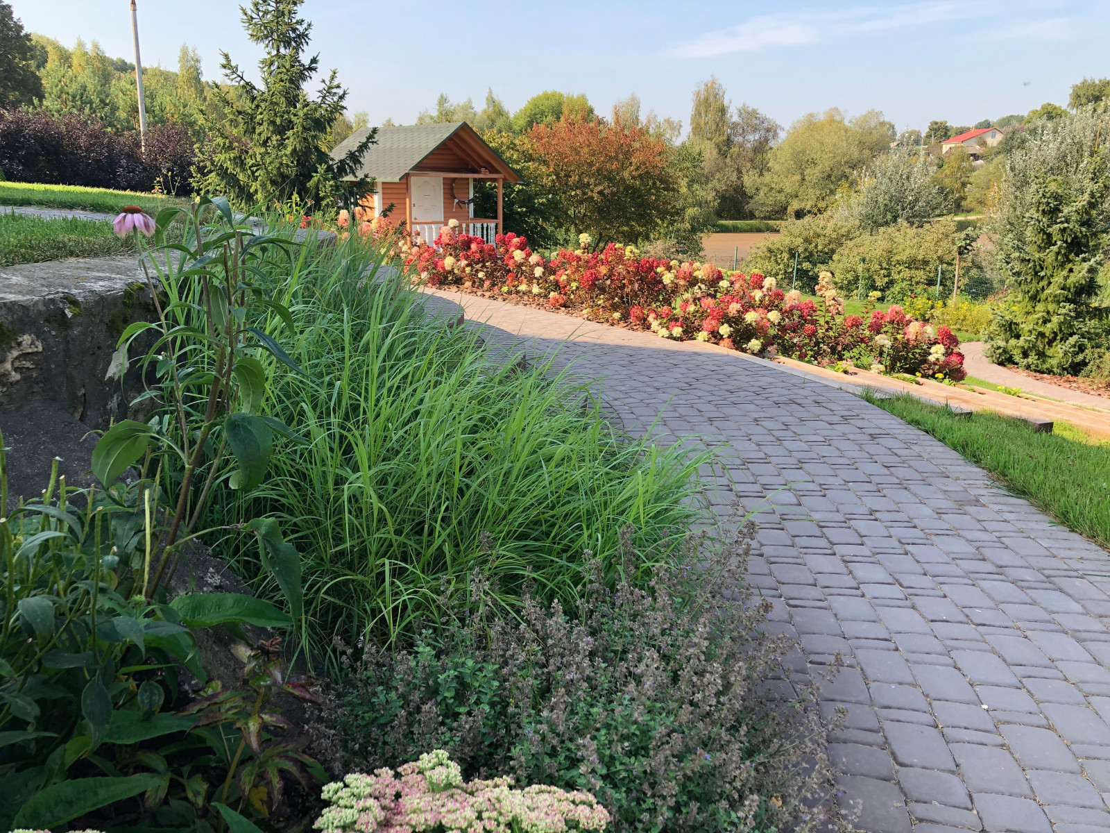 Якшино. Осень 2019