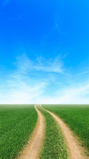 Алекс фищенко