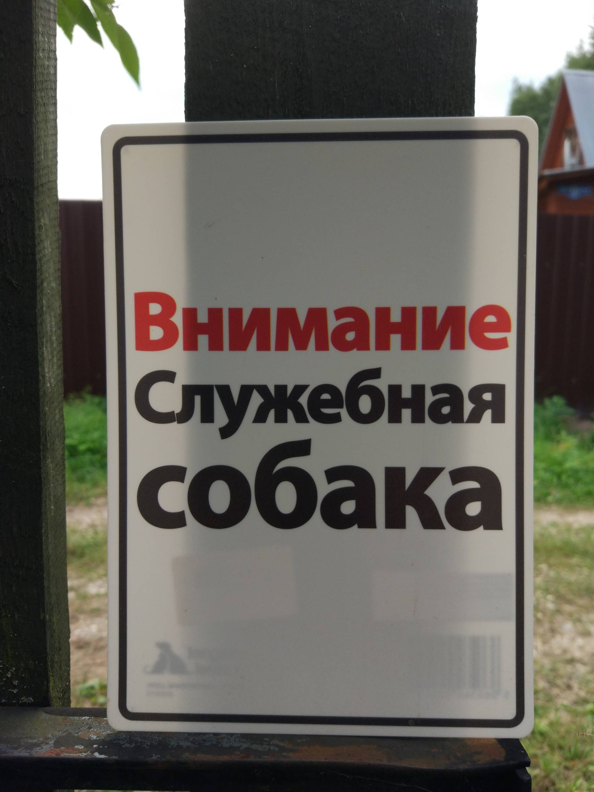 Собака и дача: Как не только выжить, но и отдохнуть
