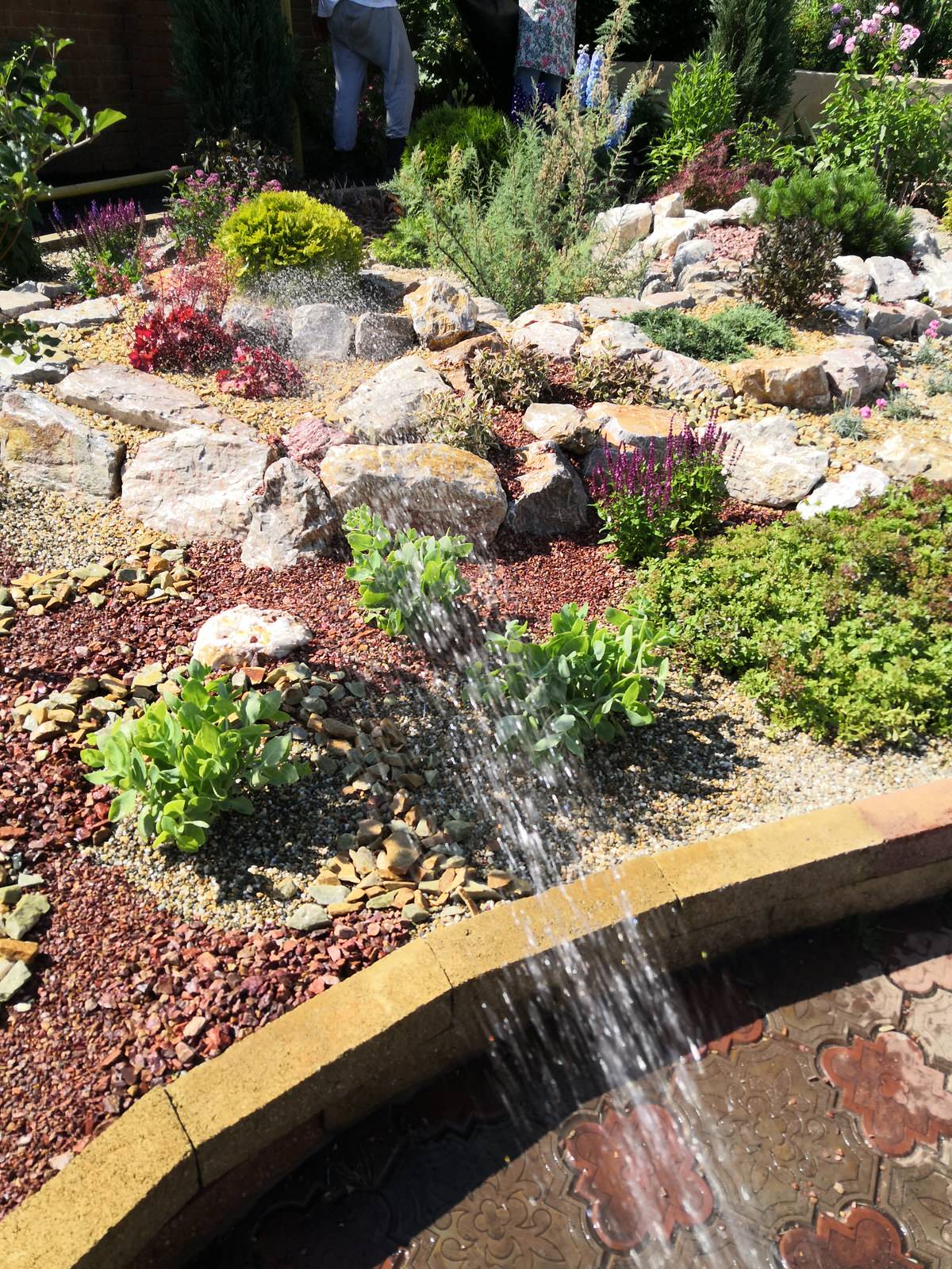 Обложка проекта: Рокарий для коллекции растений