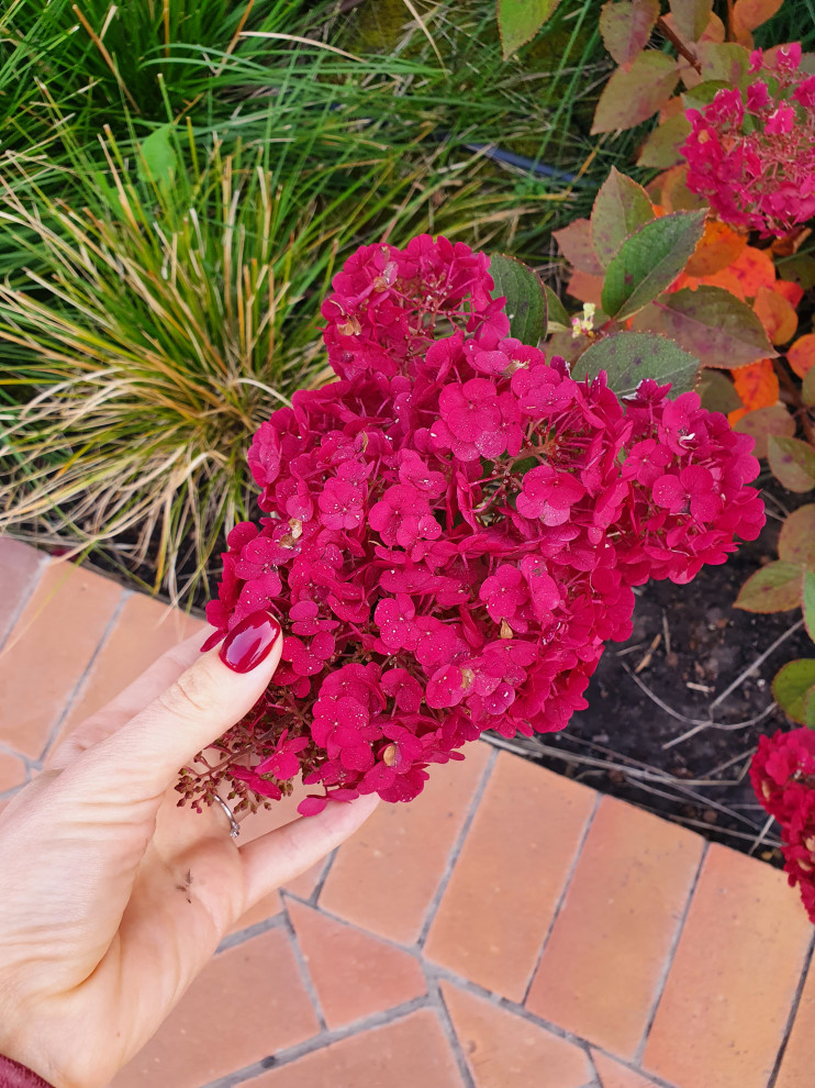 Частный сад в г.Самара