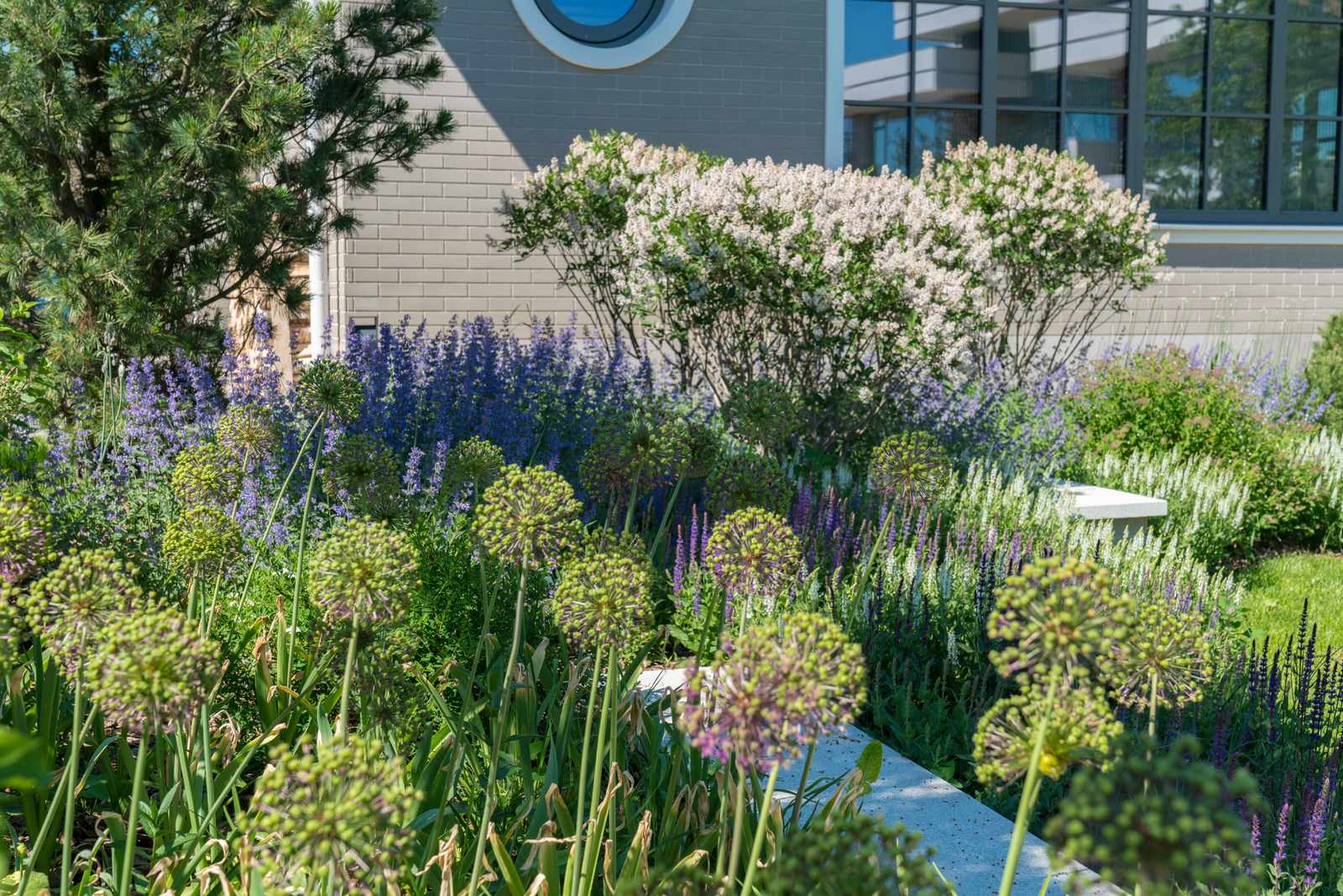 Игра контрастов. Миллениум Парк 2018 г.