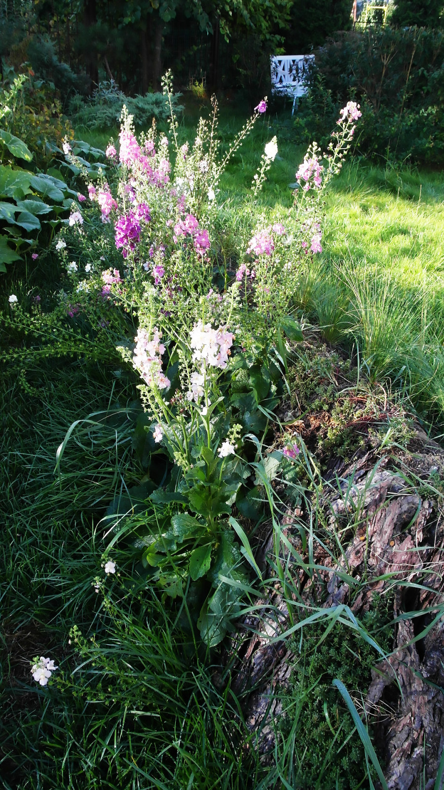 Геопластика