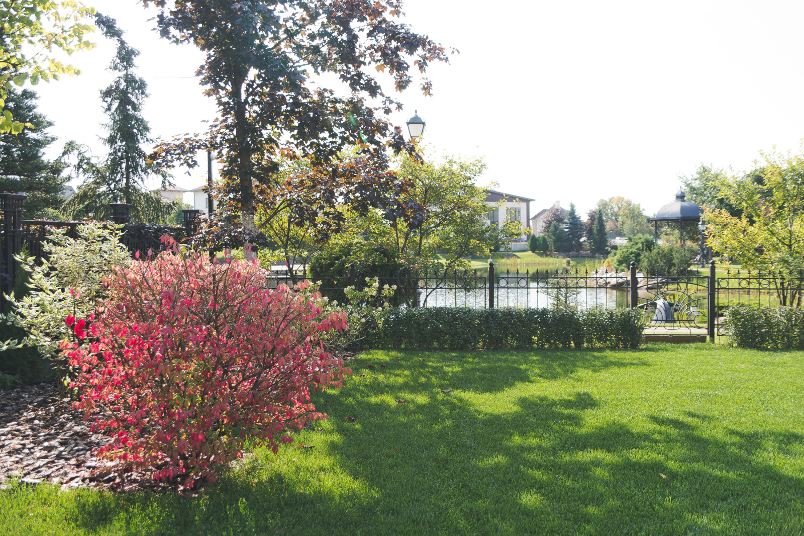 Современный сад на Успенском шоссе