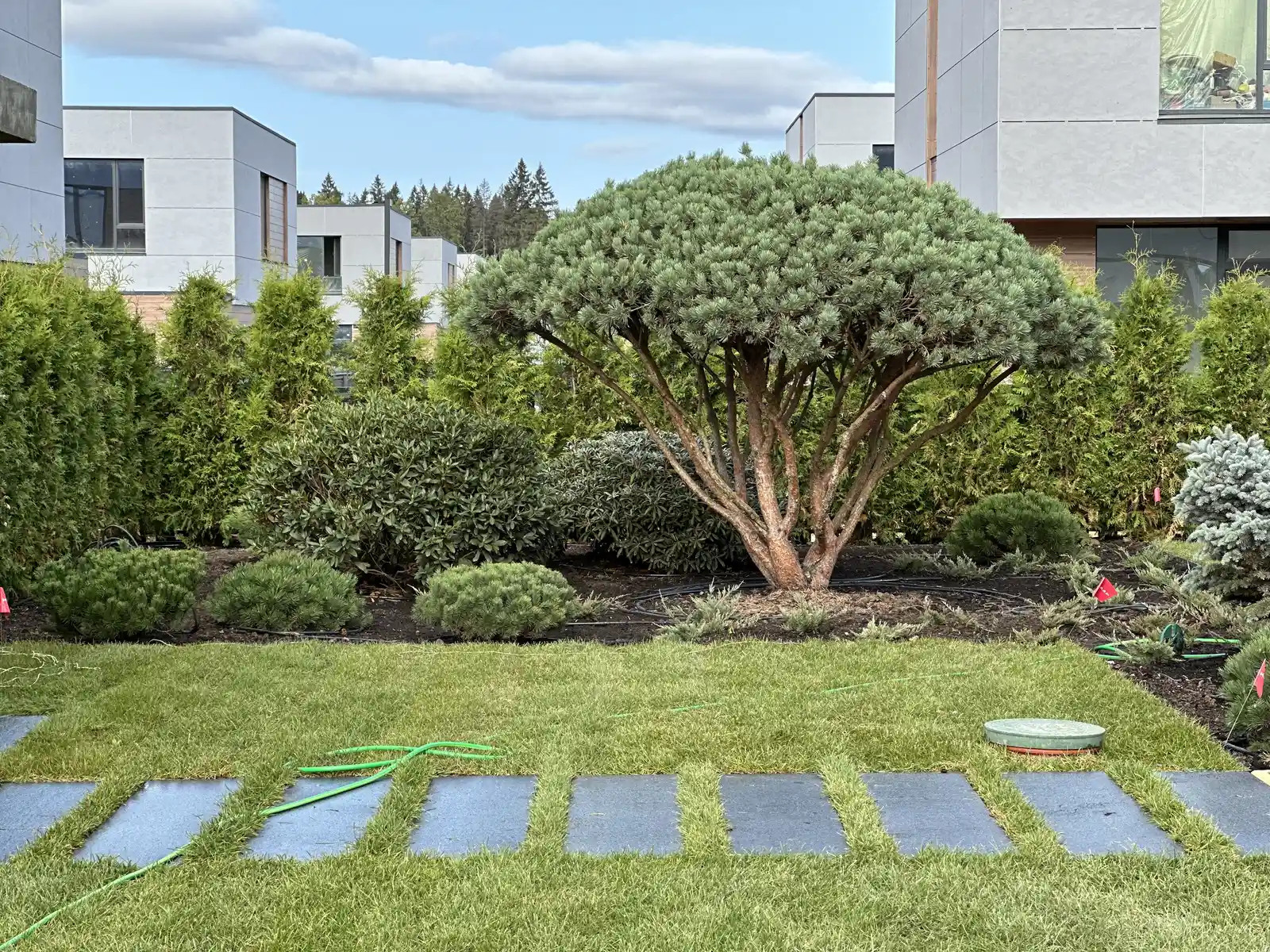 Обложка проекта: «СТРОГО ПО ПРЯМОЙ»