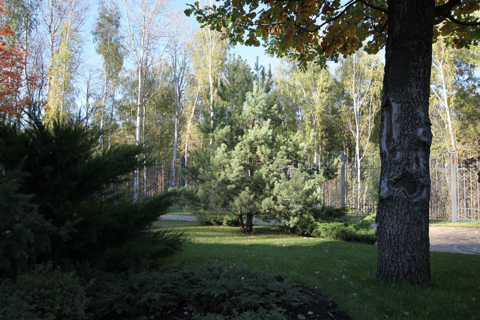 Сказочный мир в предместье Орла