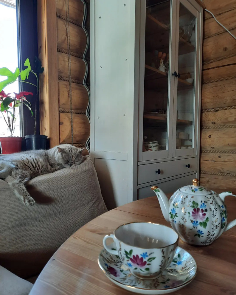 Обложка проекта: Консультация декоратора