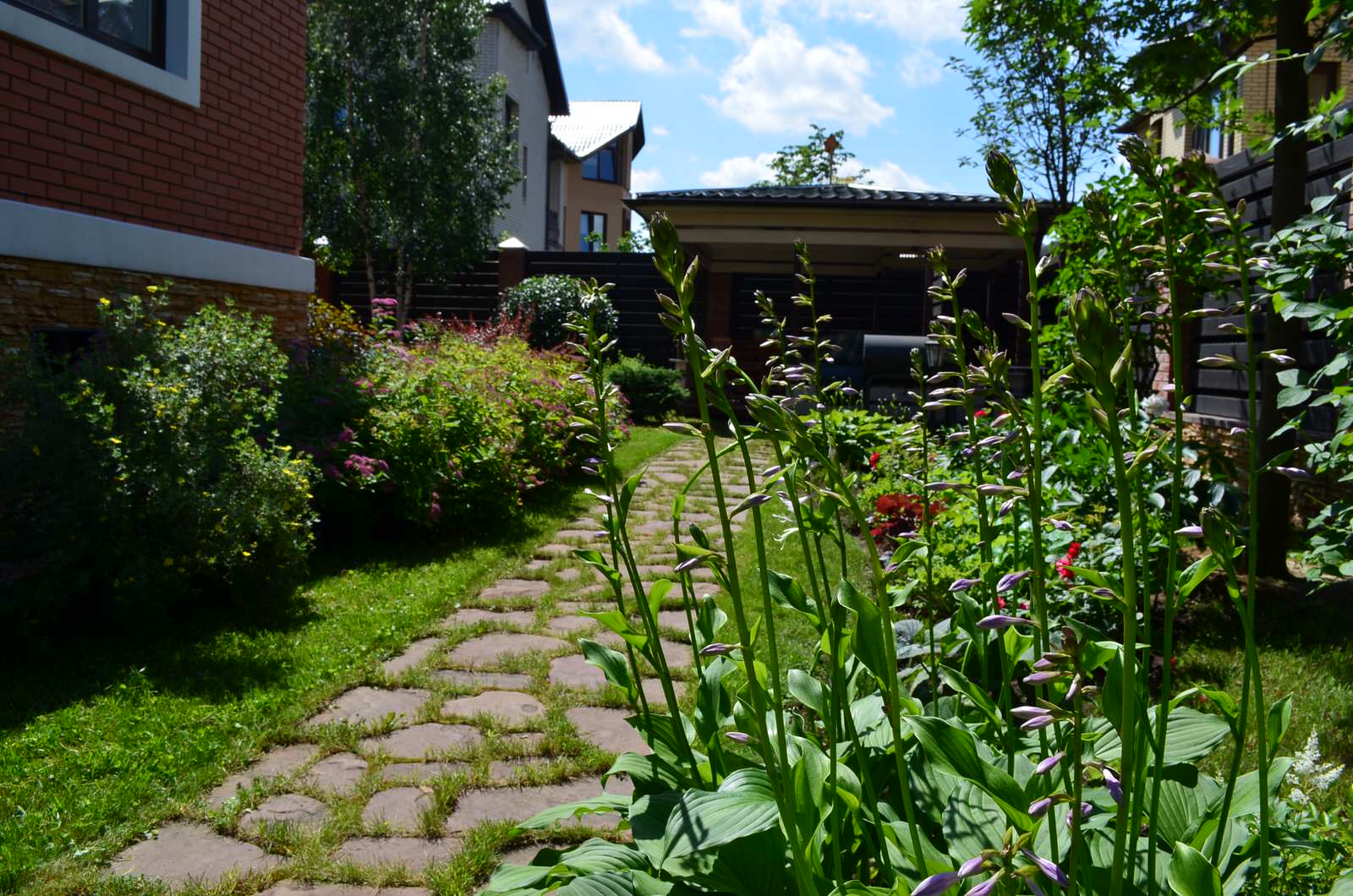 Сад в Потапово