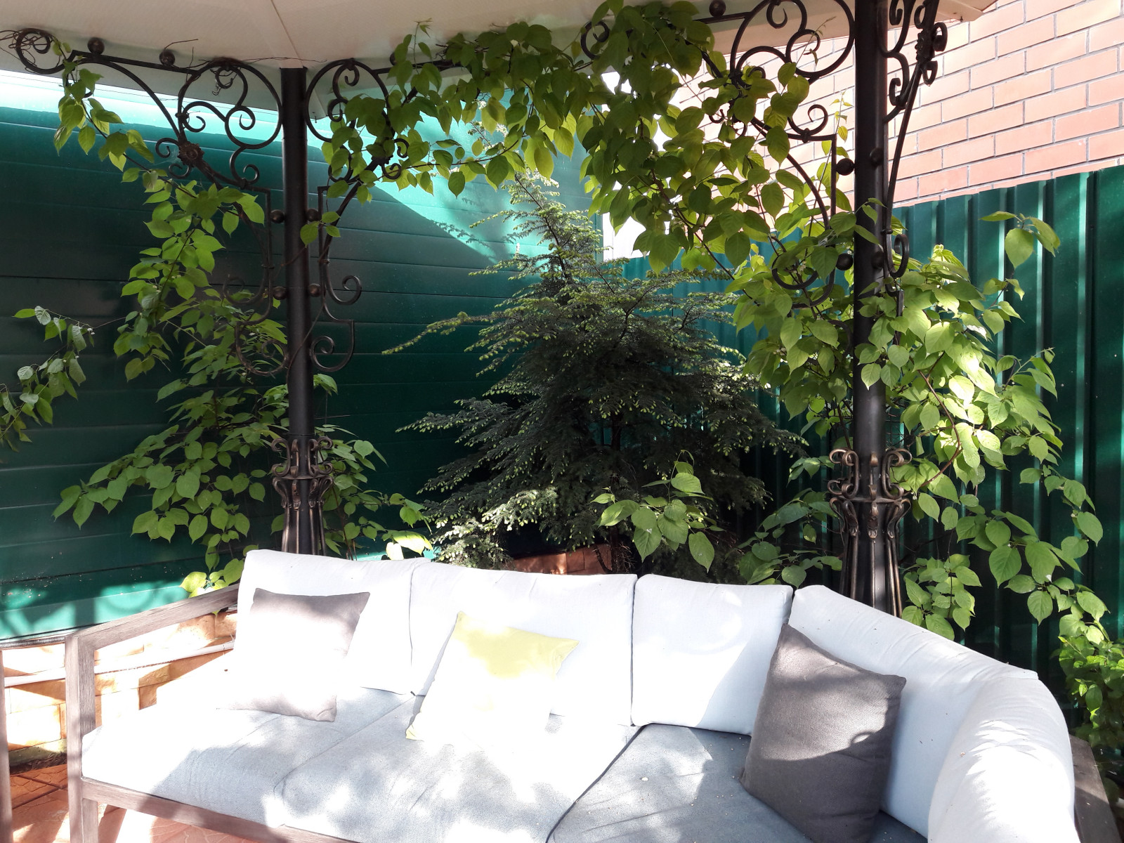 Французский садик в поселке Рыбаки Дмитровское шоссе