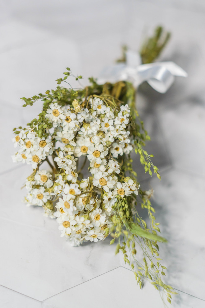 Коллекция Lago