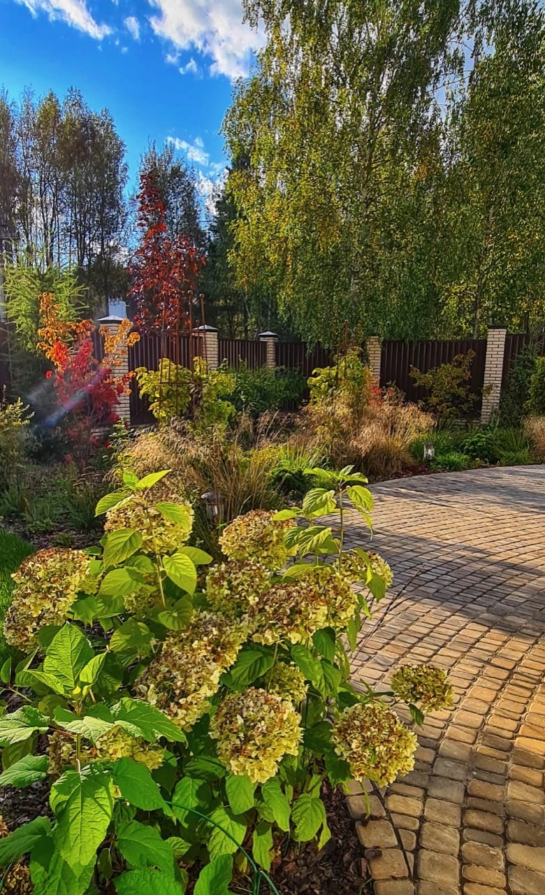 Обложка проекта: Сад  коллекционера