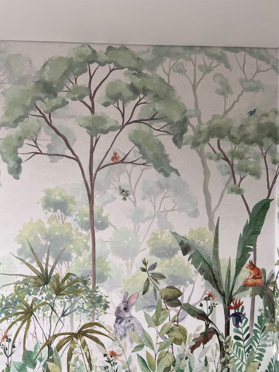 Фотографии от клиентов