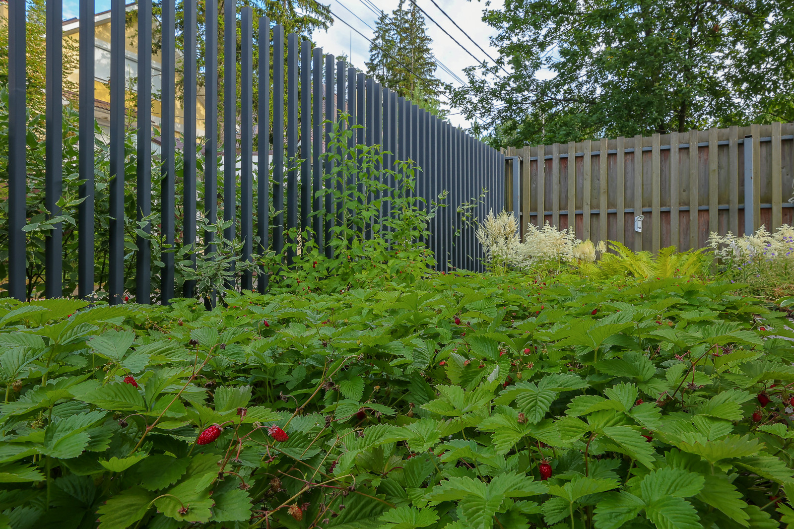 Сад в КП "Уварово"